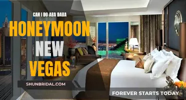 ABA Daba Honeymoon: A New Vegas Adventure