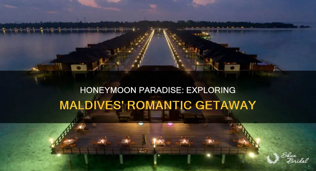 can I enjoy honeymoon in maldives