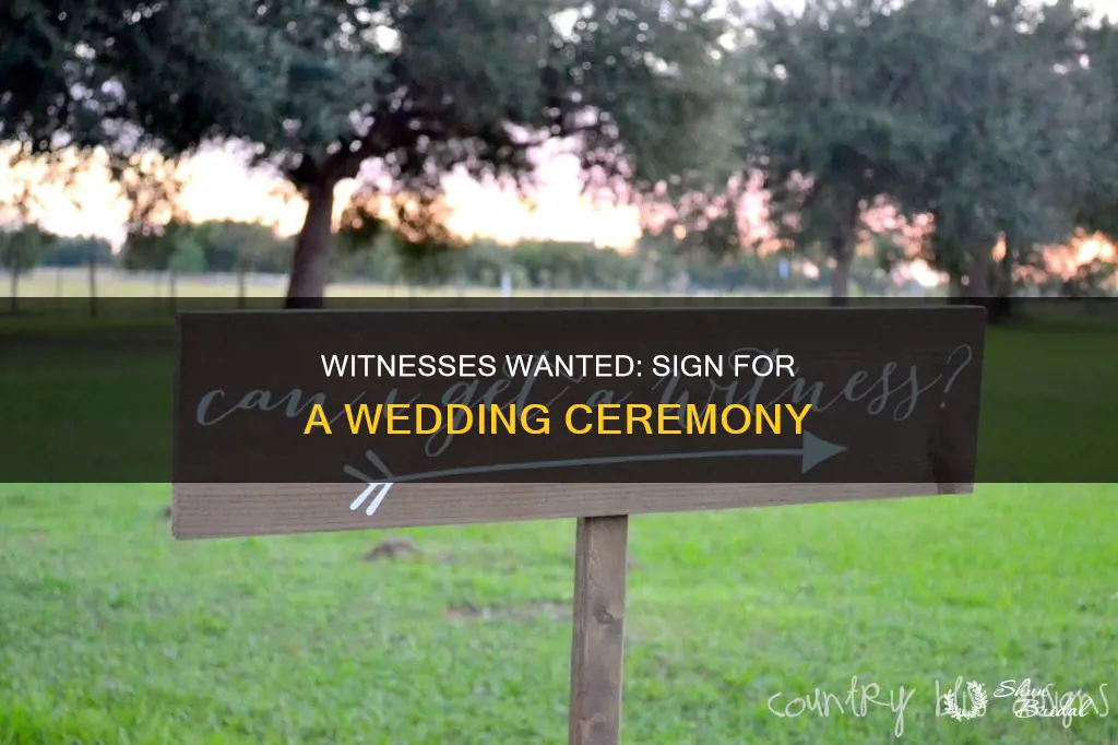 can I get a witness wedding sign