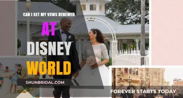 Renew Your Vows at Disney World: A Magical Celebration Guide