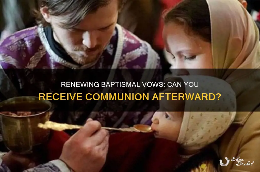can i go to communion after renewing baptismal vows