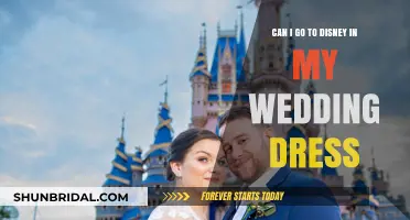Disney Dreams: Wedding Dress Visit