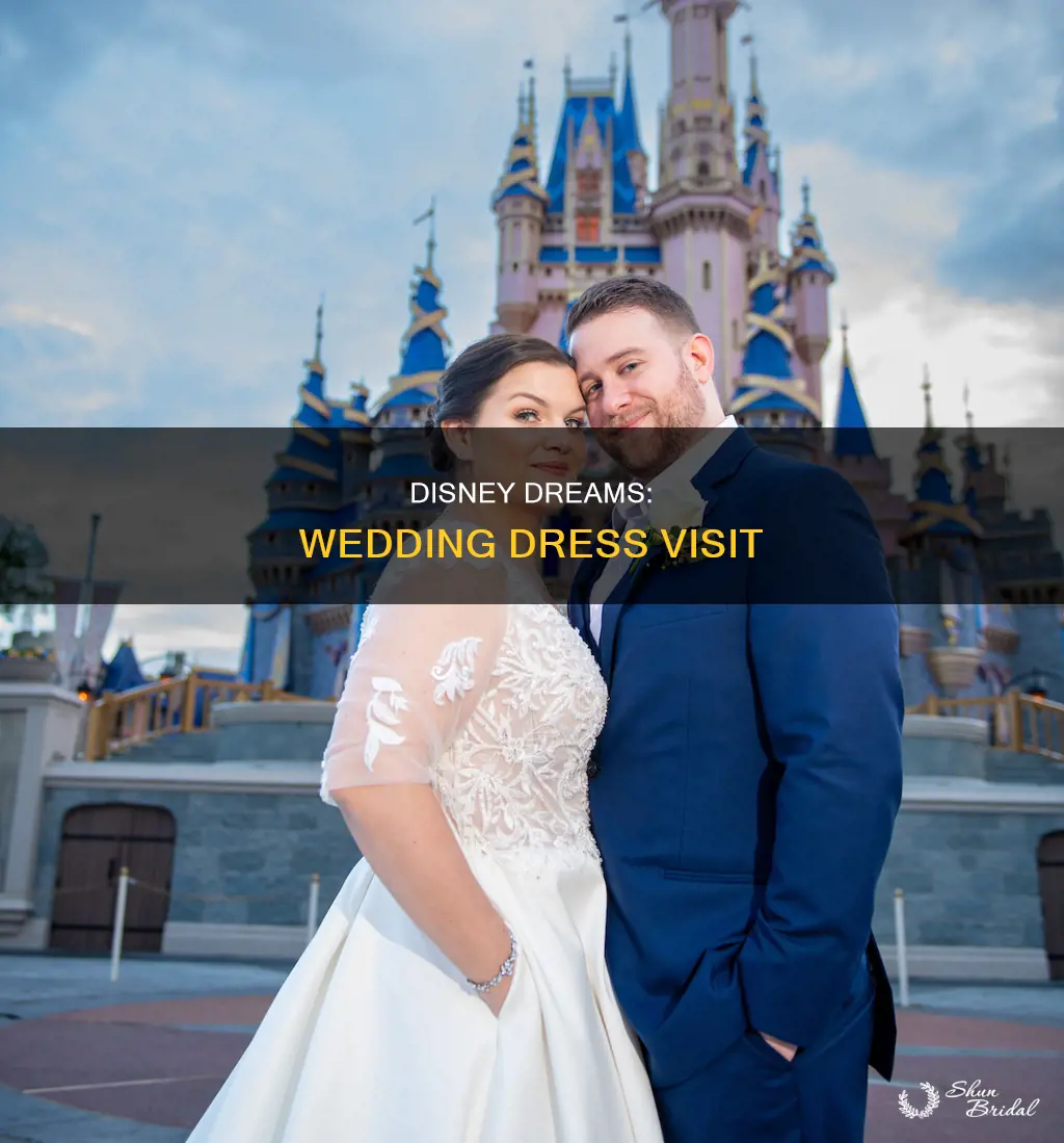 can I go to disney in my wedding dress
