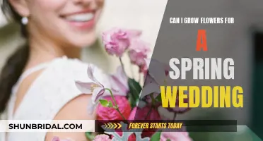 Spring Wedding Flowers: Planning and Growing Your Own