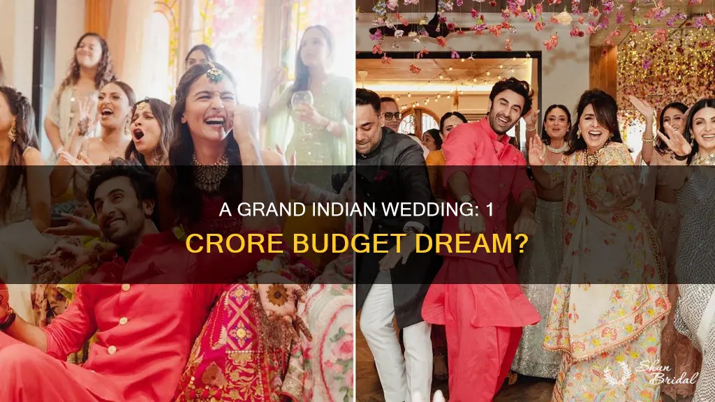 can I have a good indian wedding with 1 crore