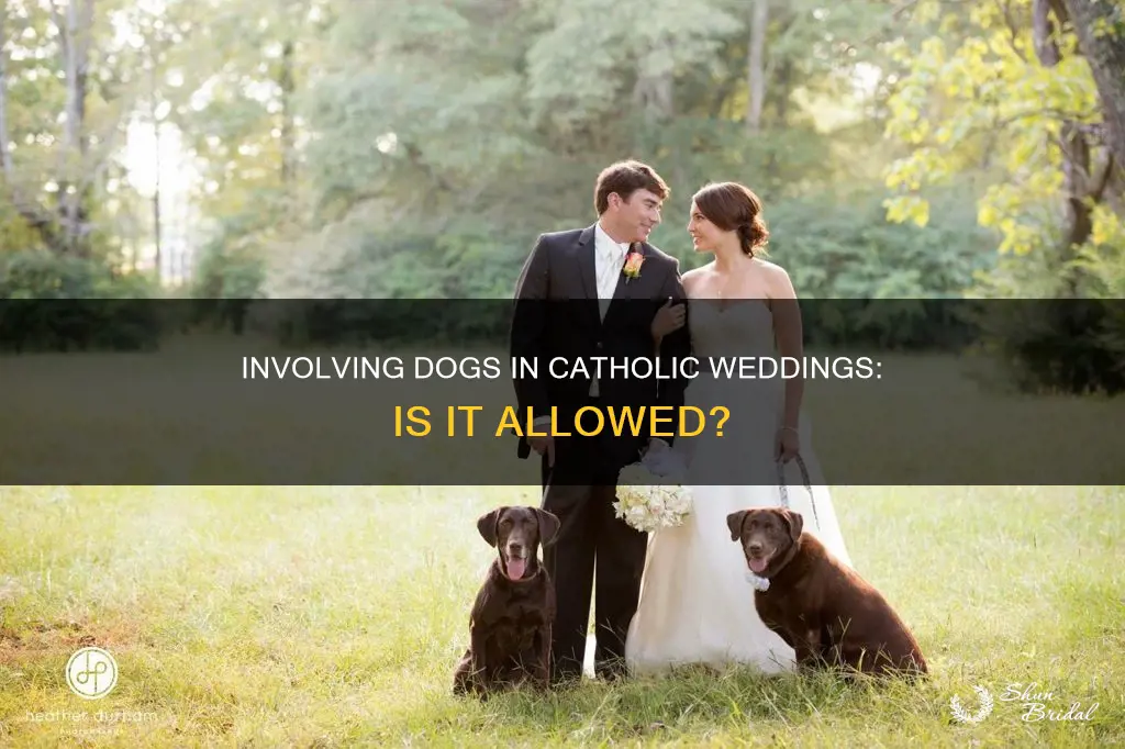 can I have my dog in a catholic wedding