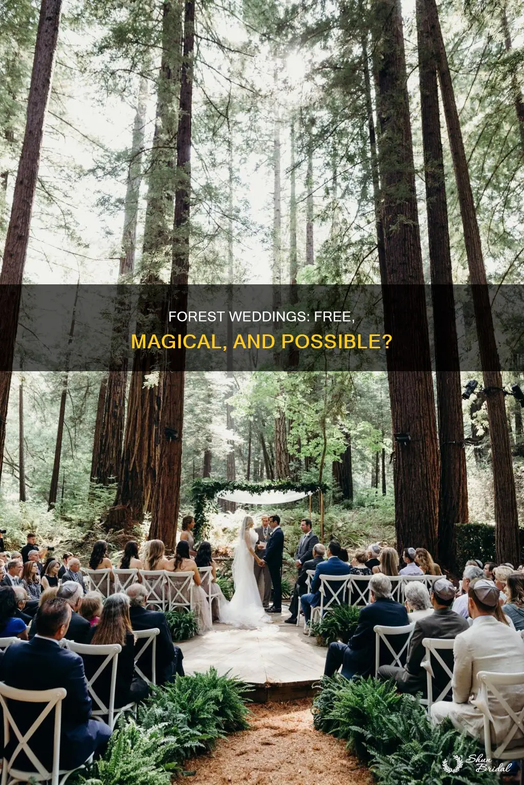 can I have my wedding in a forest for free