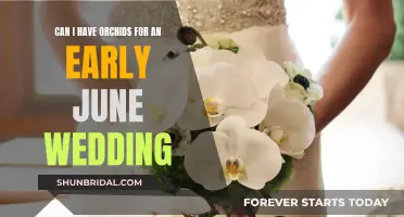 Orchids for June Weddings: What You Need to Know