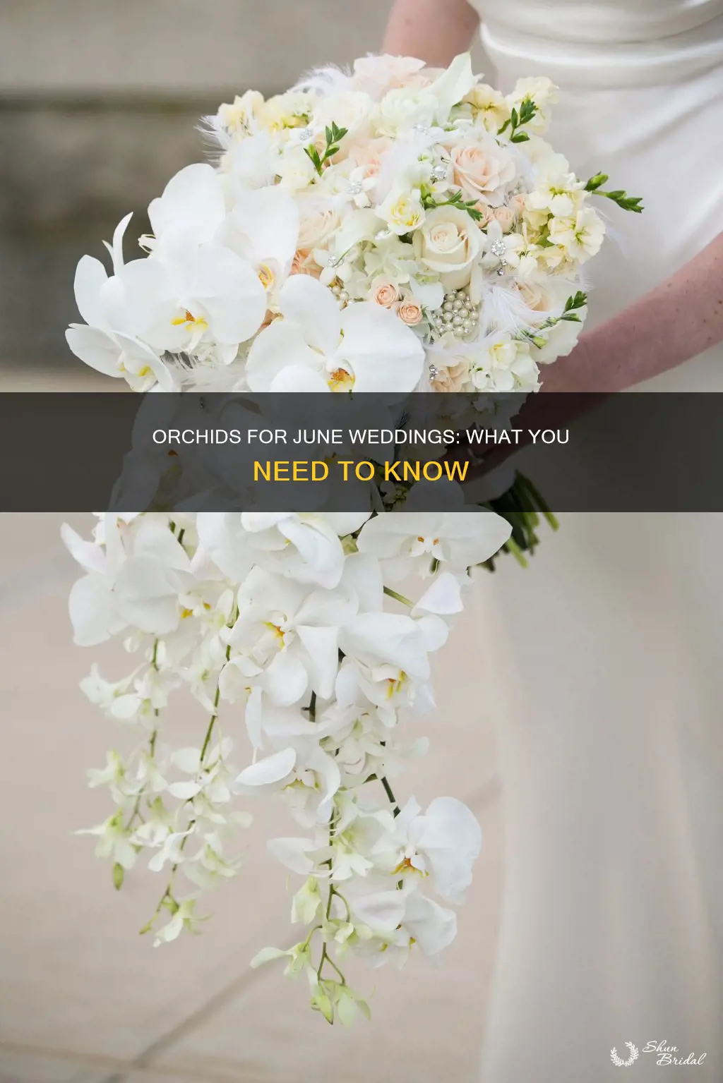 can I have orchids for an early june wedding