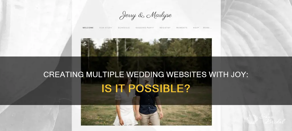 can I make more than 1 wedding website with joy