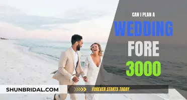 Planning a Dream Wedding on a $3000 Budget