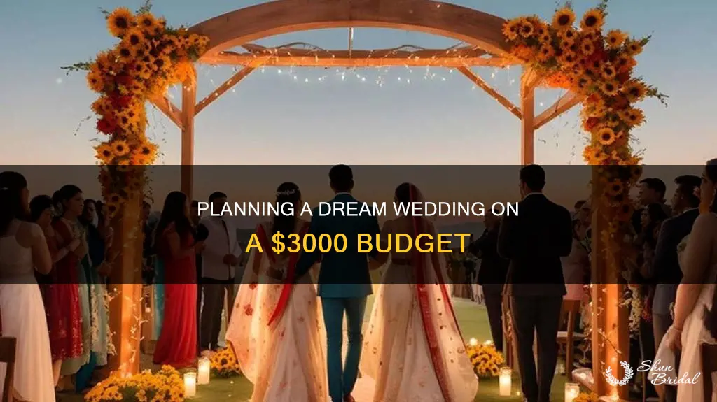 can I plan a wedding fore 3000