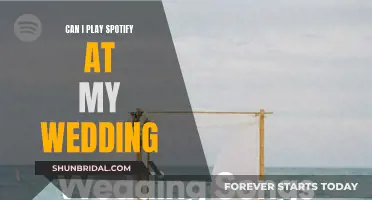 Spotify at Your Wedding: Is It Possible?