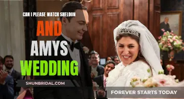 Sheldon and Amy's Wedding: A Fan's Perspective