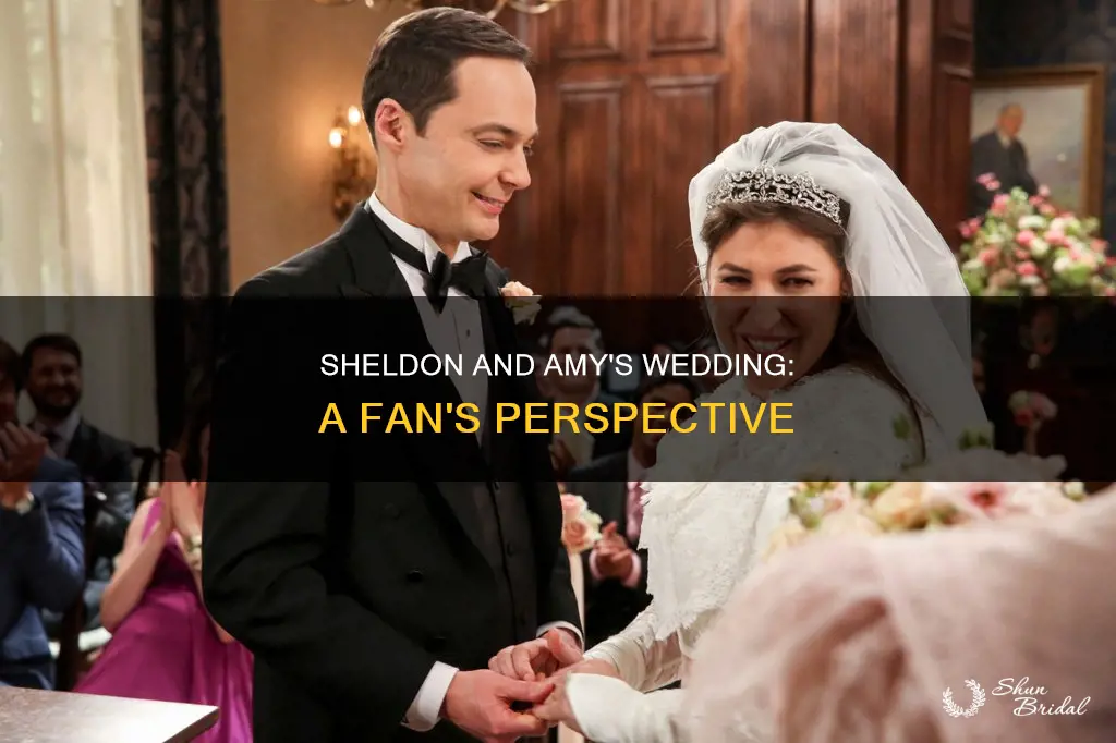 can I please watch sheldon and amys wedding