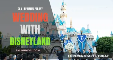 Disneyland Weddings: Magical Registry Ideas and Tips