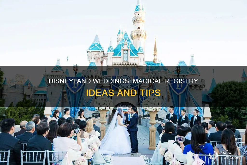 can I register for my wedding with disneyland