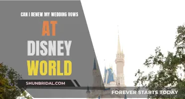 Renewing Wedding Vows: Disney World Style