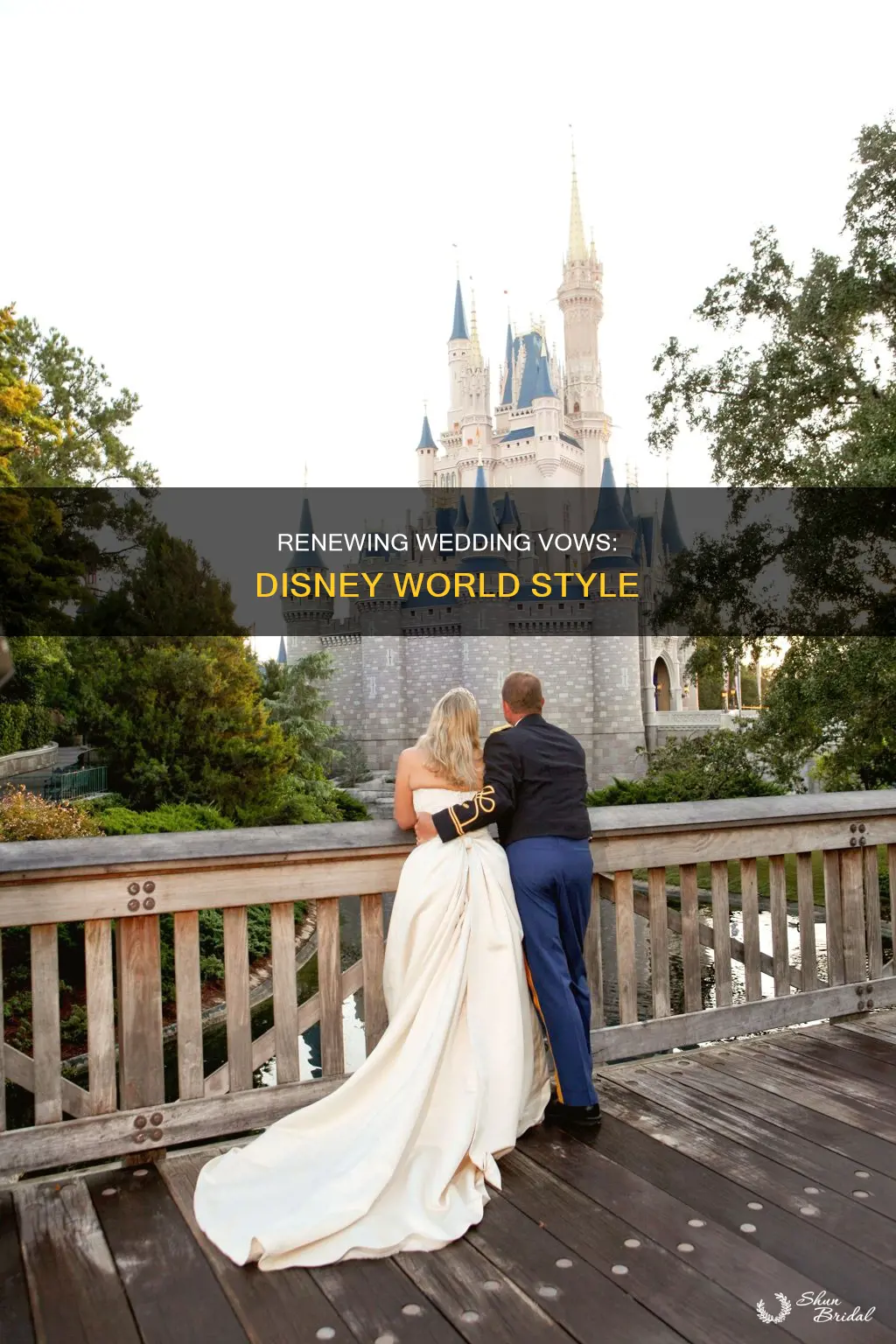 can I renew my wedding vows at disney world