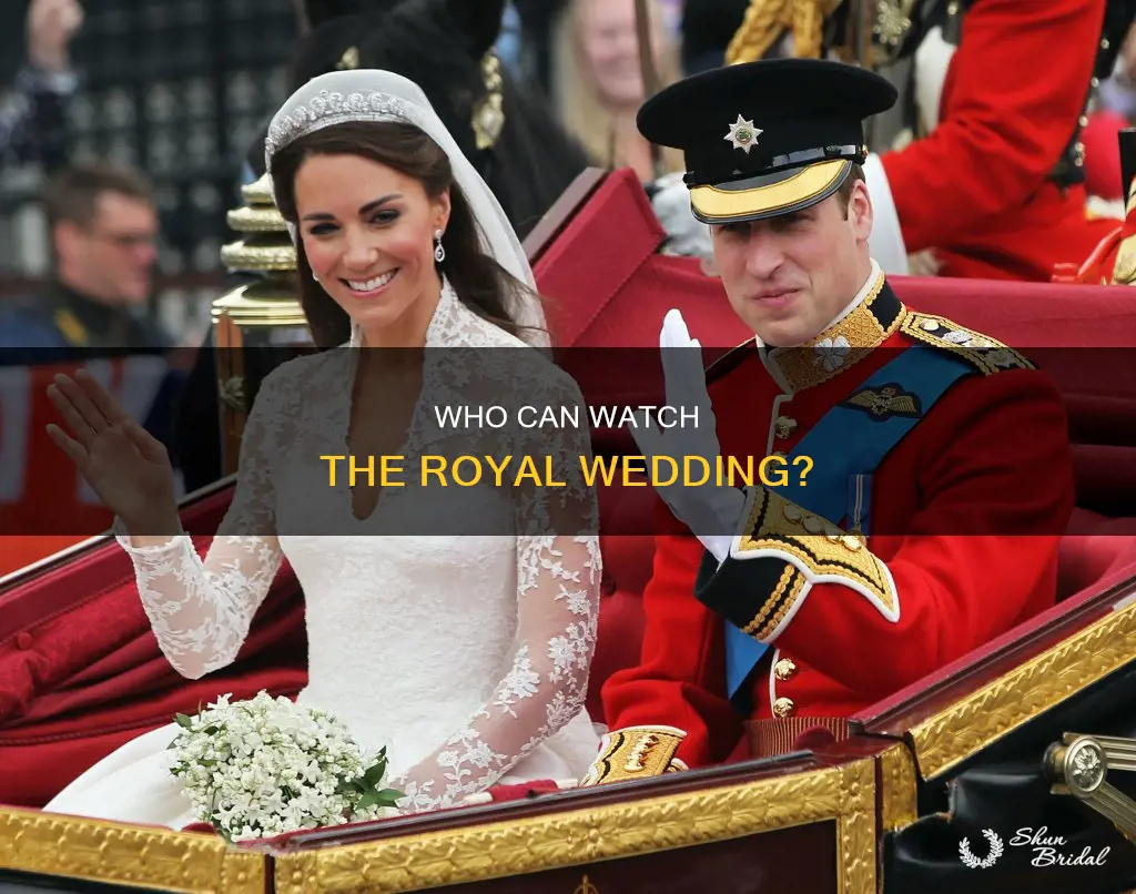 can I still watch the royal wedding