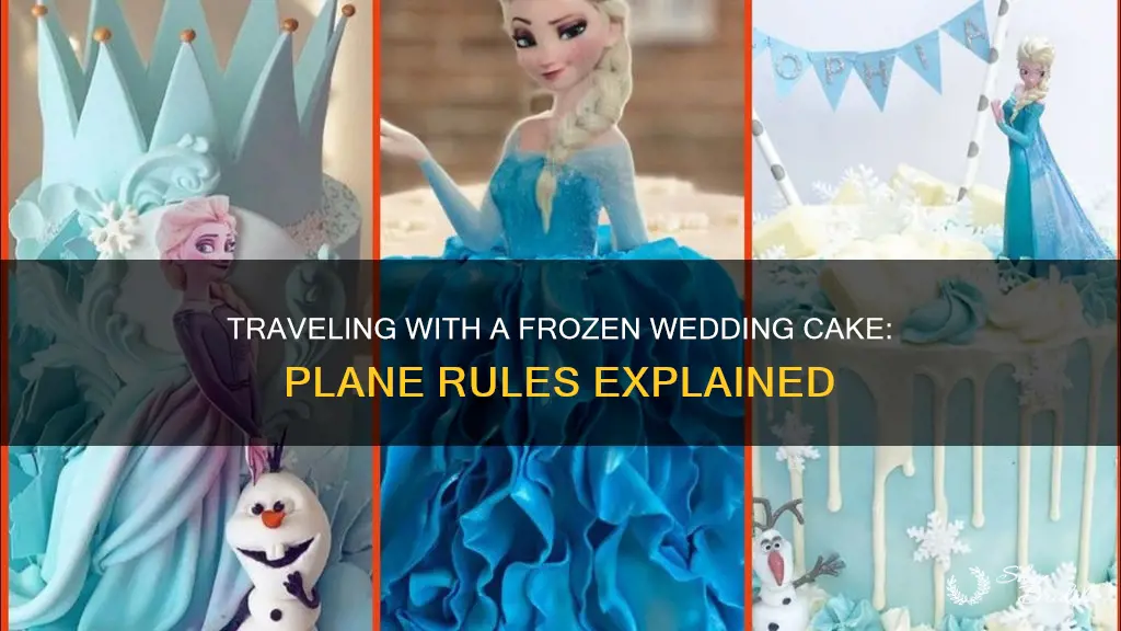 can I take a frozen wedding cake on a plane