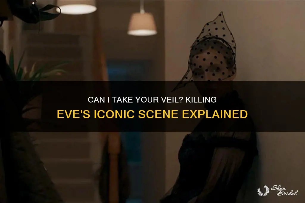 can i take your veil killing eve