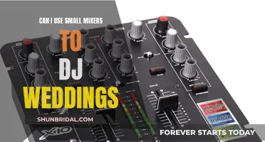 Small Mixers for Wedding DJs: Can They Cut It?