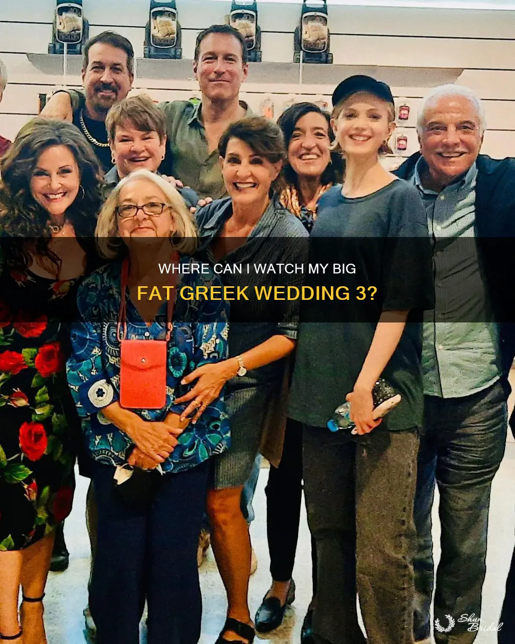 can I watch my big fat greek wedding 3