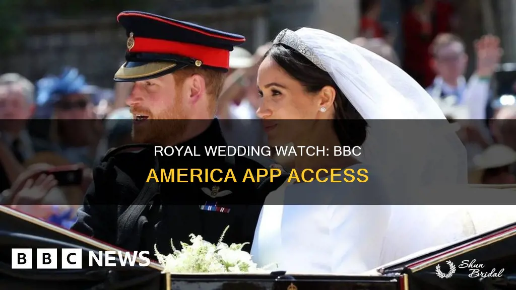 can I watch royal wedding on bbc america app