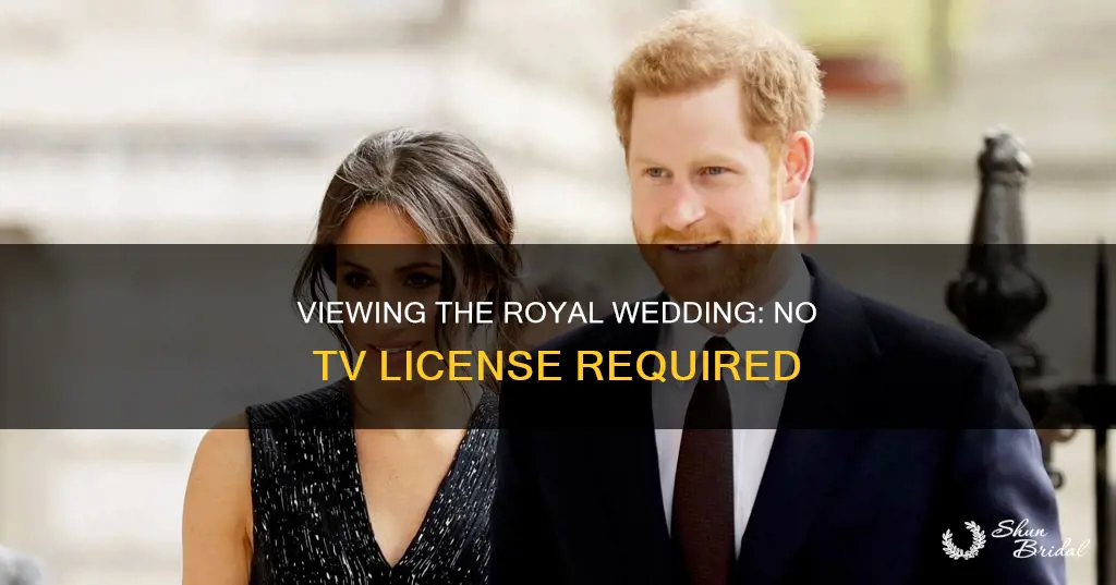 can I watch royal wedding without tv licence