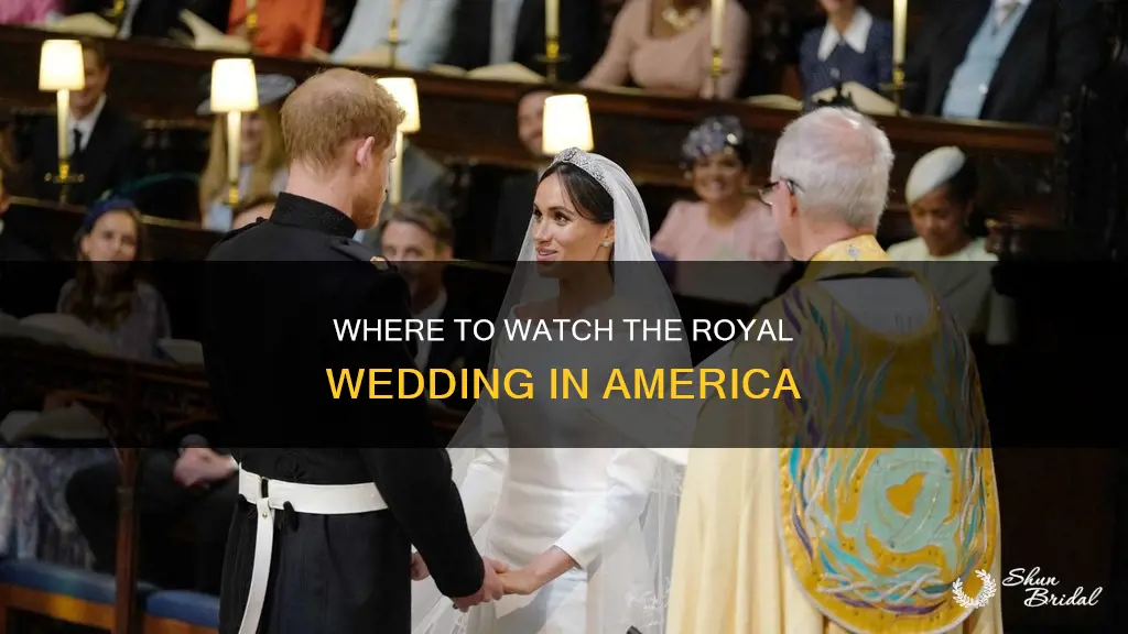 can I watch the royal wedding in america