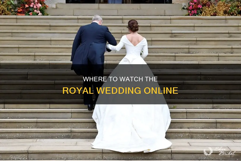 can I watch the royal wedding on my computer