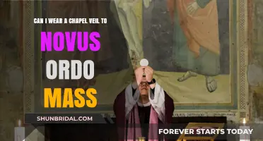 Chapel Veils at Novus Ordo Mass: Tradition Meets Modern Liturgy