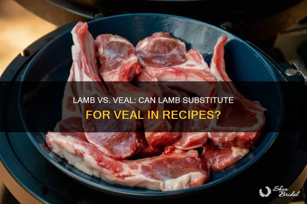 can lamb used instead of veil