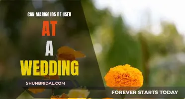 Marigolds for Weddings: A Vibrant, Affordable Choice