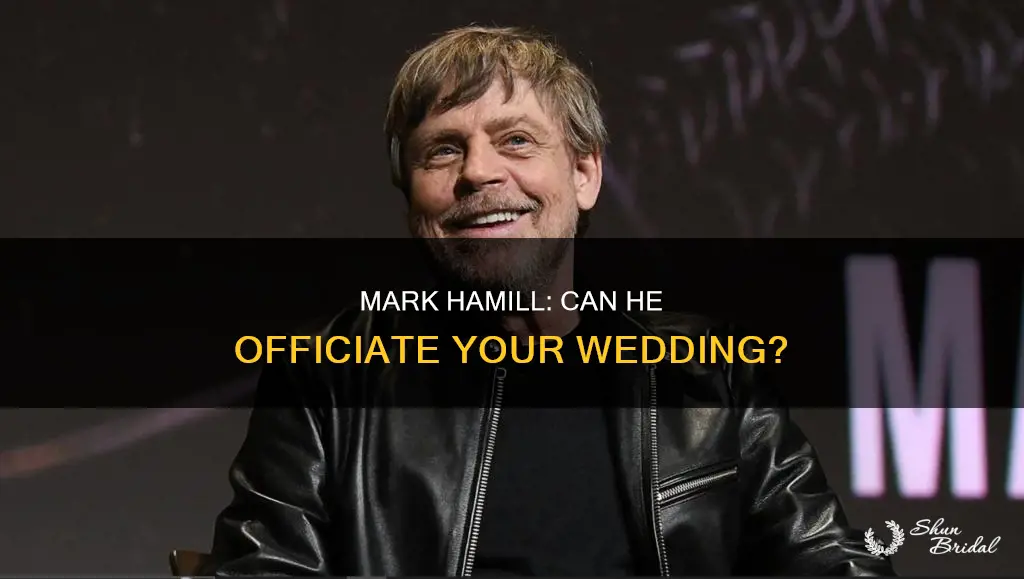 can mark hamil officiate a wedding