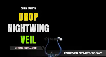 Mephisto's Loot: Can Nightwing Veil Drop in Your Game?