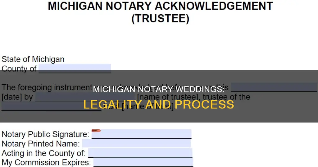 can michigan notaries conduct weddings