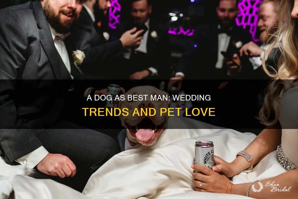 can my best man be a dog