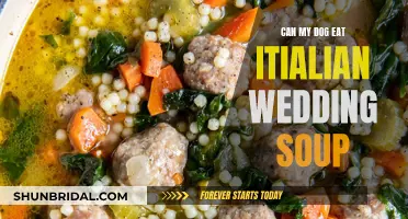 Italian Wedding Soup: Safe Treat or Toxic for Dogs?