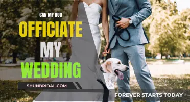 Furry Friend as a Wedding Officiant: Is It Legal?