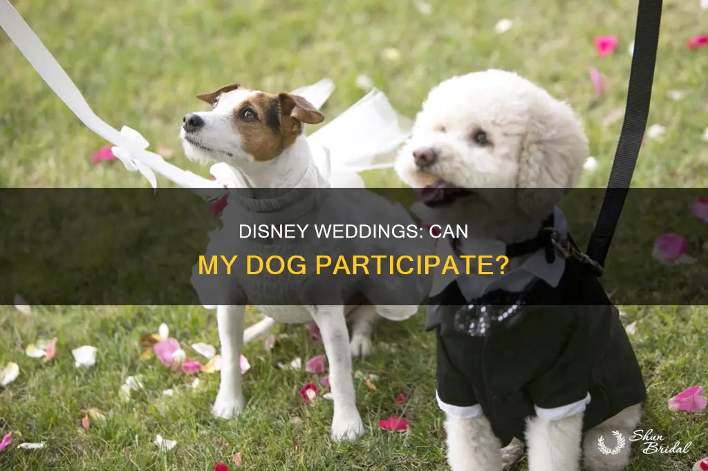 can my dogs participate at my wedding at disney