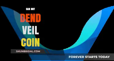 Understanding Why You Can't Send Veil Coin: Common Issues and Solutions