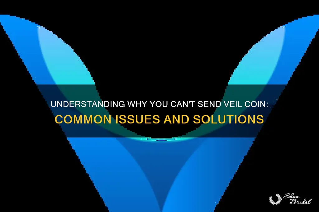 can not dend veil coin