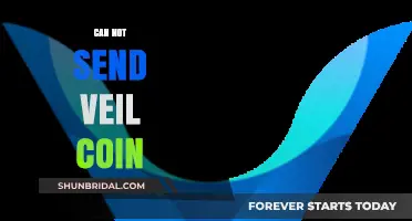 Troubleshooting Veil Coin Transfers: Common Issues and Quick Solutions