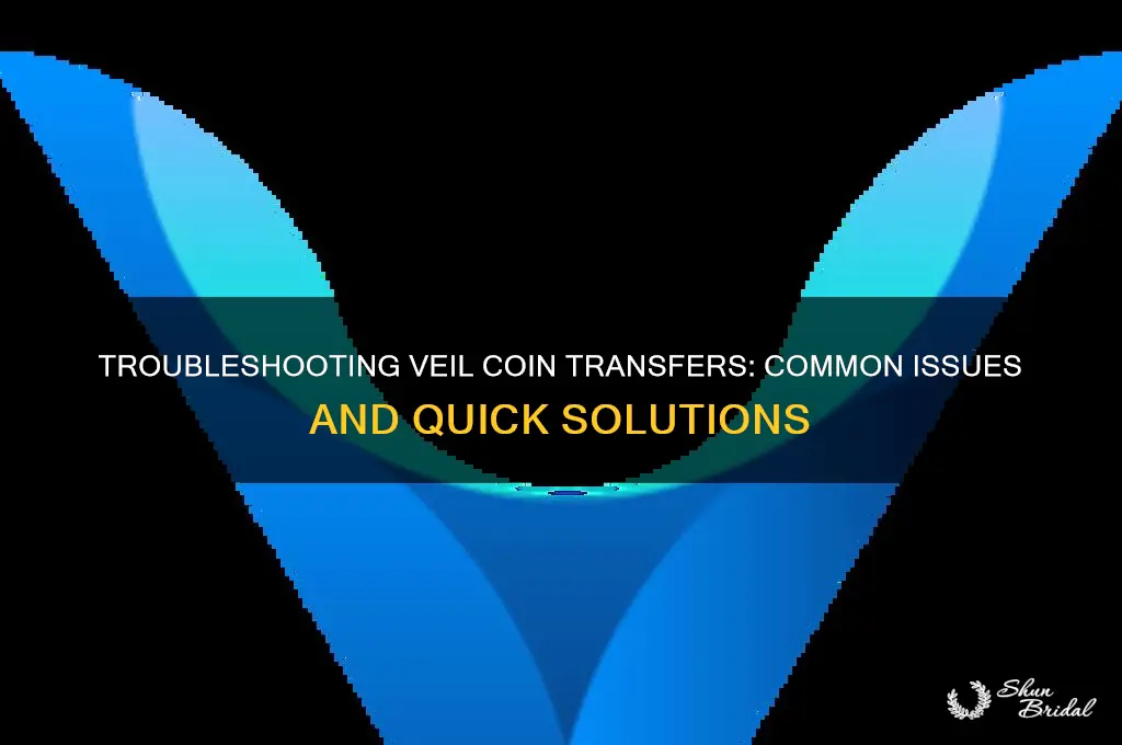 can not send veil coin