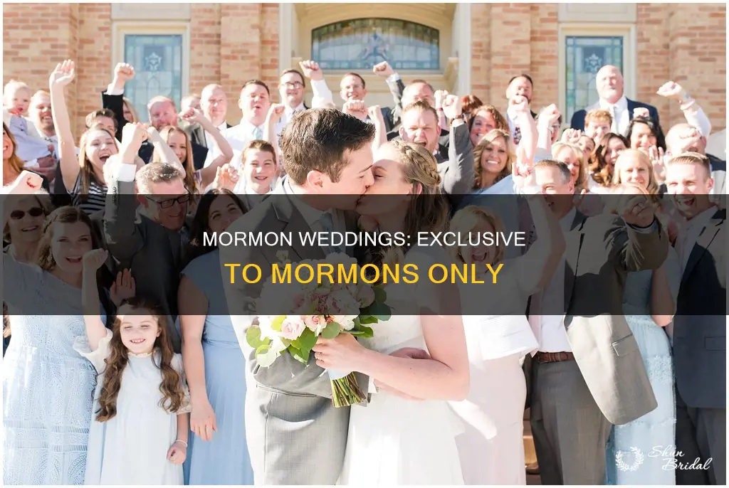 can only mormon attend mormon wedding