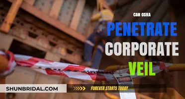 Can OSHA Hold Owners Personally Liable? Piercing the Corporate Veil Explained