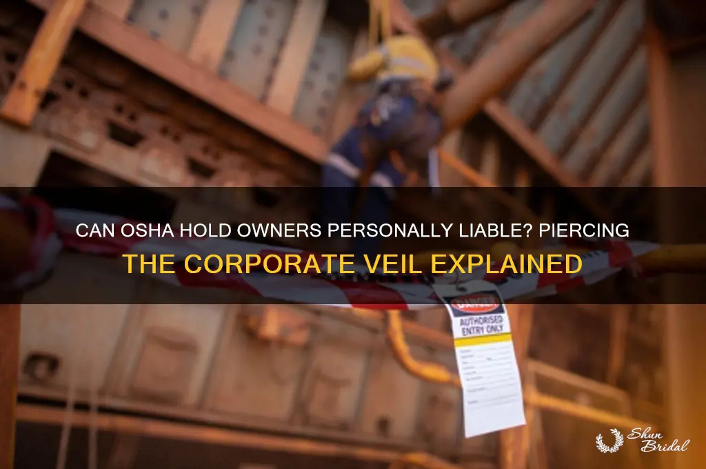 can osha penetrate corporate veil