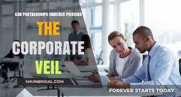 Can Partnerships Face Piercing the Corporate Veil? Legal Insights